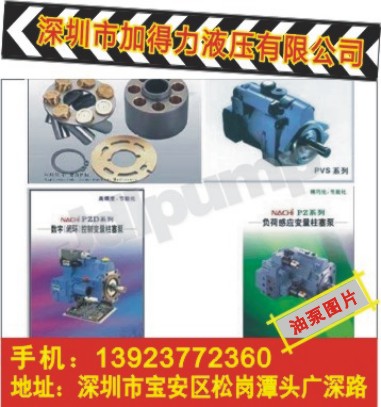 PVS-2B-45N3-20ͱþSޙzy(c)