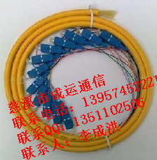 廠家直銷、、12芯SC束狀尾纖、、、12芯束狀尾纖廠家批發(fā)、、、、