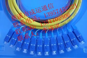 批發(fā)！SC束狀尾纖！SC12芯束狀尾纖！12芯束狀尾纖！