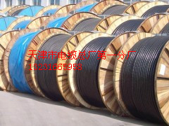 天聯(lián)牌礦用控制電纜（國內礦山首選）價格咨詢