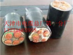 Ʈa(chn)Ʒ6KV///0.6/1KV|{I(y)vw
