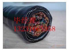呼和浩特PTYA23鐵路信號電纜質(zhì)量最棒暢銷世界