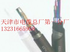 [供應(yīng)]PTYA23-40*1鐵路信號(hào)電纜烏魯木齊、青藏鐵路公司