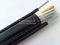 DJYVP2電纜，DJYVP2銅箔屏蔽