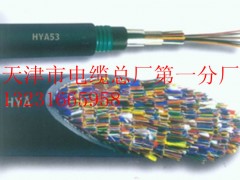 zbͨ|HPVV22(20*2*0.5)zbͨ|