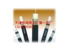 SVF75-5耐高溫同軸電纜（規(guī)格型號(hào)齊全）