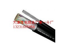 型號規(guī)格齊全HYA100對通訊電纜HYA100對