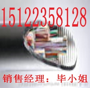 供應(yīng)【2012最新】MHYVR礦用信號電纜報(bào)價（價格/報(bào)價）【廠家