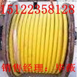 供應實心聚乙烯絕緣射頻電纜（價格/報價）