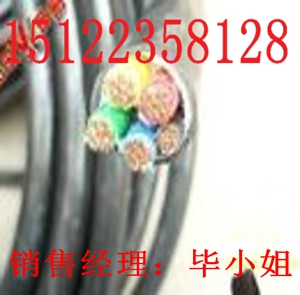 供應(yīng)00耐火控制電纜（價(jià)格/報(bào)價(jià)）【廠家直銷】