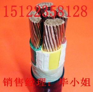 供應(yīng)多芯視頻線-SYV7-2-1*8-1*4（價(jià)格/報(bào)價(jià)）廠家直銷