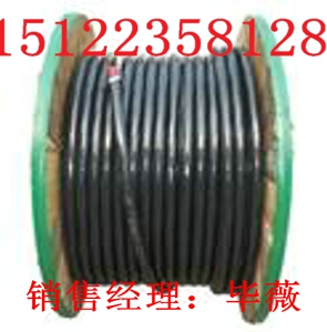 國(guó)標(biāo)礦用防爆電話線-MHYVR價(jià)格-礦用防爆電話線-MHYVR報(bào)價(jià)