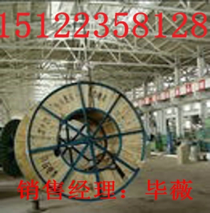國(guó)際品質(zhì)阻燃電纜 耐火電纜 ZR KVV價(jià)格-阻燃電纜 耐火電纜