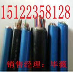 國(guó)際品質(zhì)防爆電纜礦用通信電纜MHYV26x2x7/0.3價(jià)格-防爆