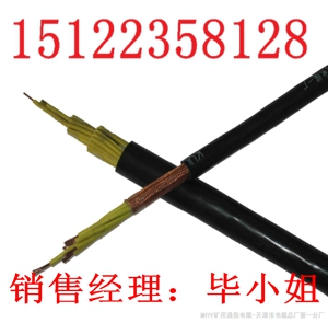 最新供應(yīng)MSYV礦用阻燃視頻線|礦用阻燃視頻線/價(jià)格/報(bào)價(jià)