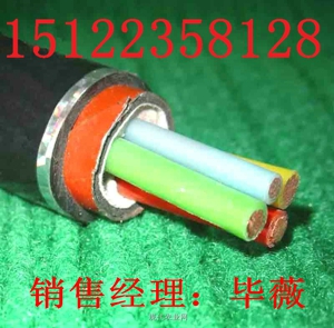 耐火雙絞屏蔽電纜NH-DJYP2V-天津電纜總廠第一分廠，供應(yīng)耐火