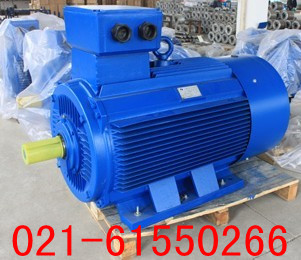 250KW電動機|250千瓦三相異步電動機、配件（圖）