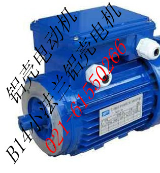 鋁殼變頻電動(dòng)機(jī)（圖）