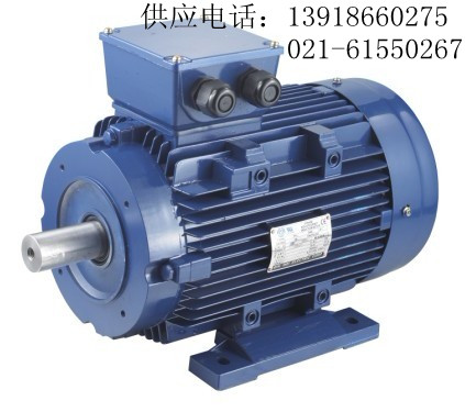 1.5KW電動機現(xiàn)貨|1.5KW馬達現(xiàn)貨|立式、臥式（圖）