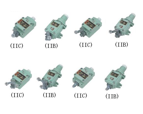 防爆行程開(kāi)關(guān)  BLX69系列防爆行程開(kāi)關(guān)(ⅡB、ⅡC)