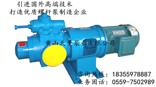 NSNF三螺桿泵，NSNF40R46U12.1W23螺桿泵