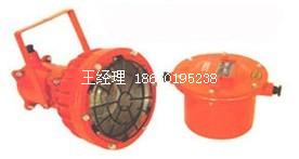 DGC175防爆投光燈
