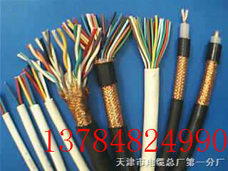 計算機(jī)電纜DJYPV系列