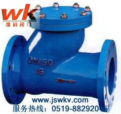 球形止回閥 HQ41X-10、HQ41X-16球形止回閥 江蘇唯科球形止回閥