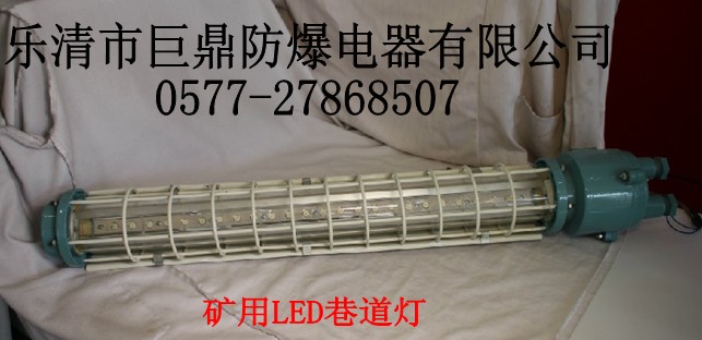DGS12/127L（A）礦用LED巷道燈，DGS12W礦用巷道燈