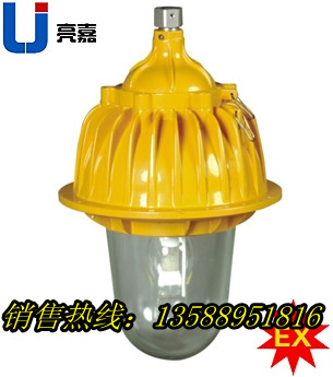 BFC8130-J250，內場防爆燈BFC8130-J250，