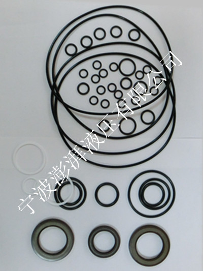 力士樂A11VO260液壓泵修理包