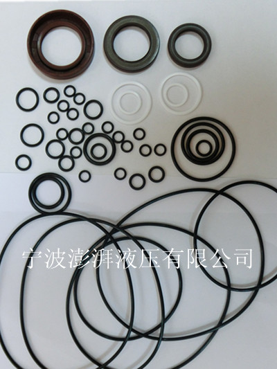 力士樂A4VG250液壓泵修理包
