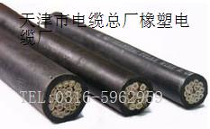 CEFR船用橡套電纜，CEFR電纜供應(yīng)商