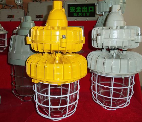 防爆無(wú)極燈CCD94-W型號(hào)價(jià)格 CCD94-W//CCD94-W