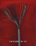 【廠家最低價】 HBGV-2芯1.0直徑、高強(qiáng)度銅包鋼電話線報價