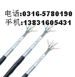 鐵路信號(hào)電纜 PTYAH PTYA PZYA PTYV PTYY