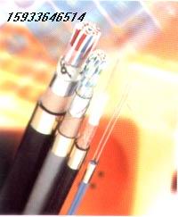 礦用監(jiān)測電纜、礦用遙測電纜 1*4*7/0.43
