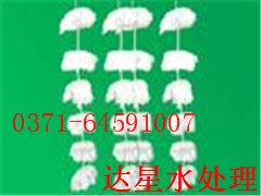 L(zhng)ML(zhng)MN(xio)ۏS(chng)L(zhng)M;