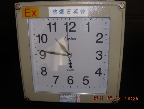 浙江防爆鐘表，浙江防爆鐘，防爆石英鐘廠家