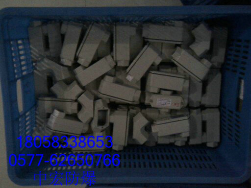 防爆防腐接線盒，電機(jī)用防爆接線盒，直通防爆接線盒，接線盒