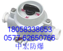 防爆照明開(kāi)關(guān) SW防爆照明開(kāi)關(guān) SW-10防爆開(kāi)關(guān)