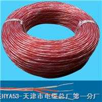 DJFPVR耐高溫計算機(jī)電纜