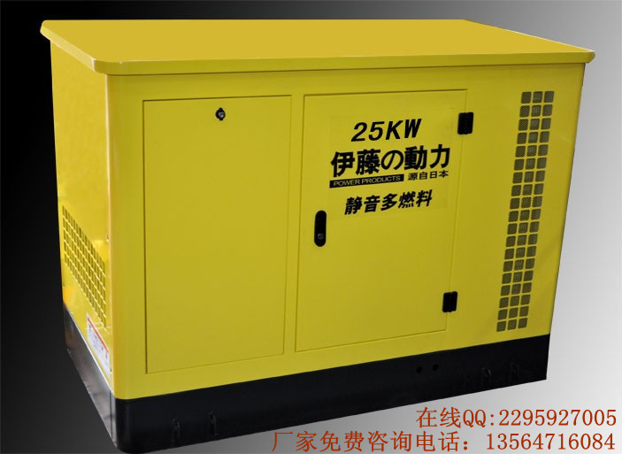 25KW多燃料發(fā)電機  汽油發(fā)電機  大型汽油發(fā)電機
