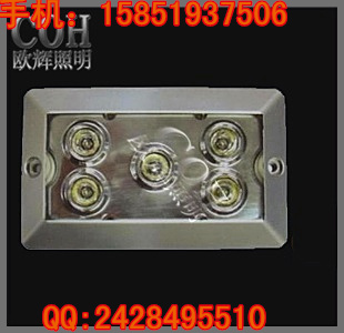 NFC9178 固態(tài)免維護(hù)頂燈 又名LED頂燈