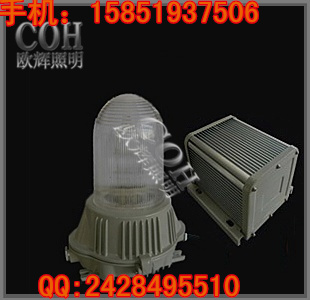 防眩應(yīng)急泛光燈 防眩應(yīng)急頂燈 分體式防眩燈 長壽防眩燈
