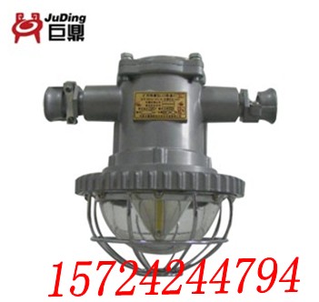 127VVDGS12/127L  úV