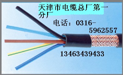 信號(hào)礦用電纜 信號(hào)礦用電纜大全 信號(hào)礦用電纜標(biāo)準(zhǔn)