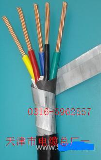 大對(duì)數(shù)電纜HYA 天津大對(duì)數(shù)電纜HYA  大對(duì)數(shù)電纜HYA規(guī)格