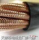 DJYPVP計(jì)算機(jī)電纜|軟芯計(jì)算機(jī)電纜DJYPVRP