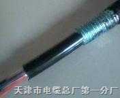 齊全市話(huà)通信電纜HPVV-1000*2*0.4
